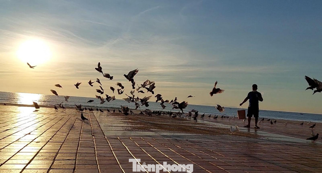 Anh Trần Hoài Thanh cho biết quê anh ở Quế Phú, huyện Quế Sơn, tỉnh Quảng Nam, làm việc tại Ban Quản lý được 3 năm. Lúc bình thường chưa có đại dịch COVID-19, ngày ngày anh Thanh vẫn chạy xe máy từ Đà Nẵng về nhà qua đoạn đường gần 70 cây số. Anh bảo ngoài việc cơ quan, anh phải về để phụ giúp vợ chuyện vườn tược và chăm hai đứa con. Con gái đầu của anh năm nay vào đại học, cậu con trai sau năm nay học lớp 11. Còn những ngày cả thành phố "ai ở đâu, ở đó" này, anh "3 tại chỗ" tại Văn phòng BQL gần đây. Ảnh: Tr.T Anh Trần Hoài Thanh cho biết quê anh ở Quế Phú, huyện Quế Sơn, tỉnh Quảng Nam, làm việc tại Ban Quản lý được 3 năm. Lúc bình thường chưa có đại dịch COVID-19, ngày ngày anh Thanh vẫn chạy xe máy từ Đà Nẵng về nhà qua đoạn đường gần 70 cây số. Anh bảo ngoài việc cơ quan, anh phải về để phụ giúp vợ chuyện vườn tược và chăm hai đứa con. Con gái đầu của anh năm nay vào đại học, cậu con trai sau năm nay học lớp 11. Còn những ngày cả thành phố "ai ở đâu, ở đó" này, anh "3 tại chỗ" tại Văn phòng BQL gần đây. Ảnh: Tr.T