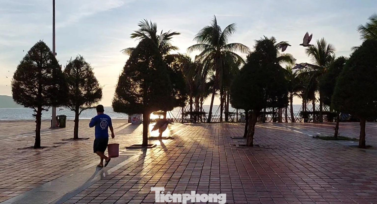 6 giờ sáng, anh Trần Hoài Thanh, 48 tuổi, nhân viên BQL Bán đảo Sơn Trà và các bãi biển Du lịch Đà Nẵng lững thững đi bộ xách xô thức ăn, vừa đi vừa thổi còi gọi chim ra ăn sáng. Ảnh: Tr.T 6 giờ sáng, anh Trần Hoài Thanh, 48 tuổi, nhân viên BQL Bán đảo Sơn Trà và các bãi biển Du lịch Đà Nẵng lững thững đi bộ xách xô thức ăn, vừa đi vừa thổi còi gọi chim ra ăn sáng. Ảnh: Tr.T