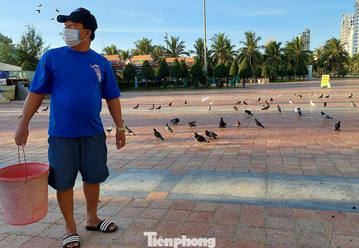 Nhưng sáng nay anh hơi bất ngờ, khi vừa vãi lúa vừa thổi còi những hồi còi quen thuộc mà bầy chim vẫn tỏ ra "chểnh mảng" chẳng buồn bay xuống ăn như mọi khi. Ảnh: Tr.T Nhưng sáng nay anh hơi bất ngờ, khi vừa vãi lúa vừa thổi còi những hồi còi quen thuộc mà bầy chim vẫn tỏ ra "chểnh mảng" chẳng buồn bay xuống ăn như mọi khi. Ảnh: Tr.T