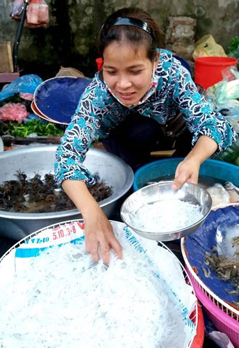 Cá ngần sông Đà giá 300.000 đồng/kg gây 'sốt' thị trường ảnh 5