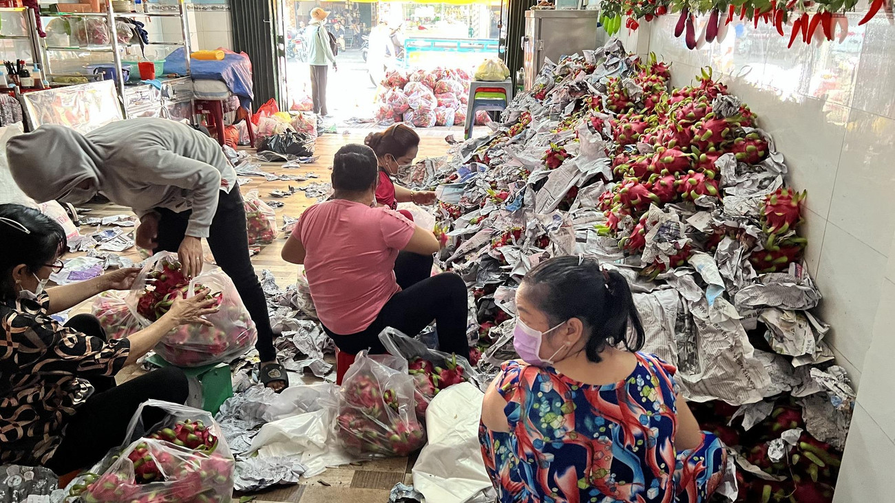 Để tránh tiếp xúc đông người, nhóm của anh Phong đã phân loại, bỏ sẵn thanh long thành từng túi 10 kg. Mỗi túi có giá 50.000 đồng.