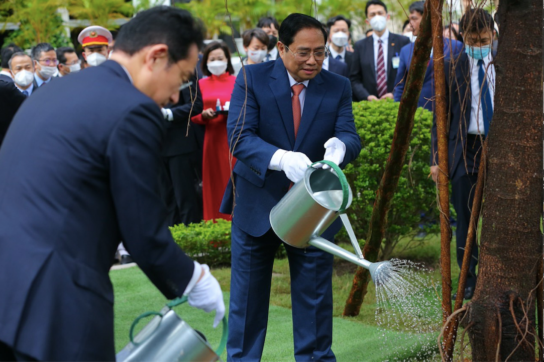Hai Thủ tướng trồng cây đa trong khuôn viên Trụ sở Chính phủ. (Ảnh: Trọng Tài) Hai Thủ tướng trồng cây đa trong khuôn viên Trụ sở Chính phủ. (Ảnh: Trọng Tài)