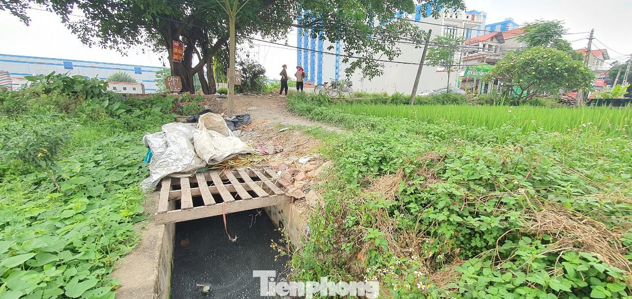 Cách đây hơn 15 năm, khi các khu công nghiệp và cụm công nghiệp chưa mọc lên như nấm trên những cánh đồng trù phú quanh thôn Chiền, xã Nội Hoàng, huyện Yên Dũng (Bắc Giang), khi người dân còn coi trồng lúa là nghề duy nhất để làm kế sinh nhai, họ đã vận động, bàn bạc mỗi hộ dân góp 5kg thóc/ 1 sào ruộng để làm kênh thủy lợi T19. Tuy nhiên, thời ấy kinh tế khó khăn, nhiều hộ ăn còn chưa no, lo còn chưa đủ nên phải mất đến 3 vụ lúa, cộng với số tiền được các mạnh thường quân ủng hộ thì kênh T19 mới hoàn thành và đưa vào sử dụng.