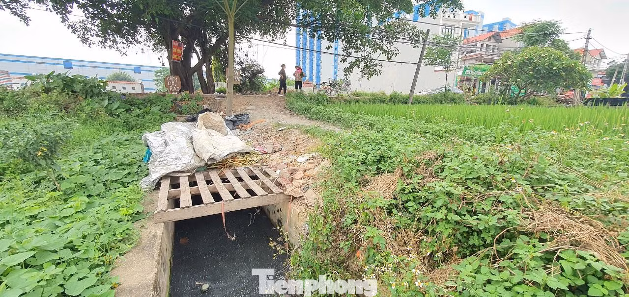 Cách đây hơn 15 năm, khi các khu công nghiệp và cụm công nghiệp chưa mọc lên như nấm trên những cánh đồng trù phú quanh thôn Chiền, xã Nội Hoàng, huyện Yên Dũng (Bắc Giang), khi người dân còn coi trồng lúa là nghề duy nhất để làm kế sinh nhai, họ đã vận động, bàn bạc mỗi hộ dân góp 5kg thóc/ 1 sào ruộng để làm kênh thủy lợi T19. Tuy nhiên, thời ấy kinh tế khó khăn, nhiều hộ ăn còn chưa no, lo còn chưa đủ nên phải mất đến 3 vụ lúa, cộng với số tiền được các mạnh thường quân ủng hộ thì kênh T19 mới hoàn thành và đưa vào sử dụng.