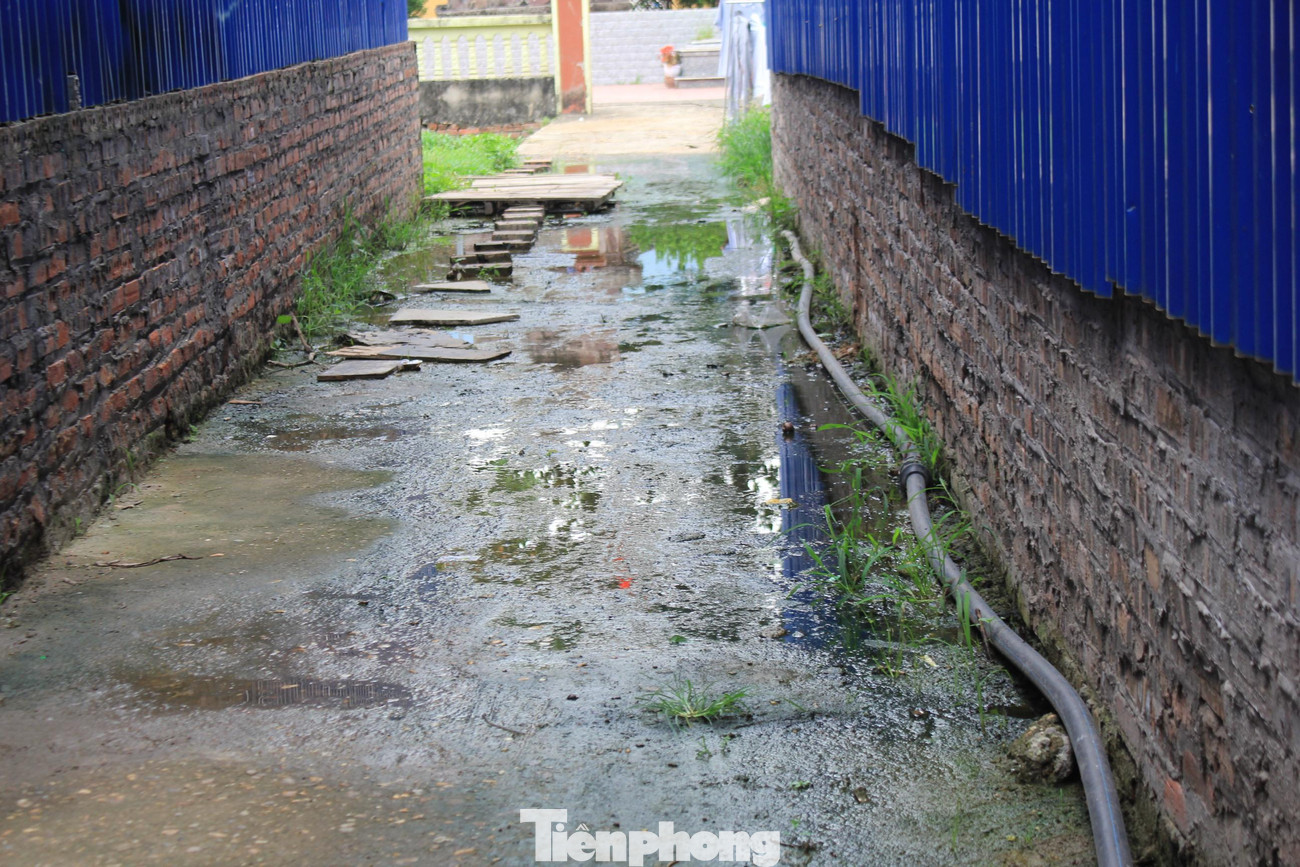 Kể từ đó đến nay, người dân liên tục phải sống trong cảnh nước thải bị ùn ứ, ngập tràn khắp nơi, bốc mùi xú uế khó chịu.