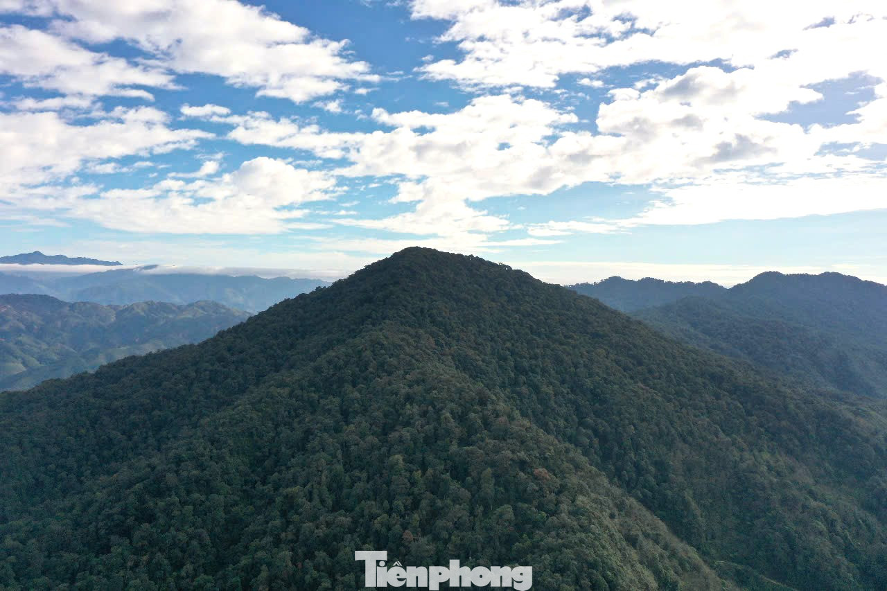 Khu bảo tồn loài sinh cảnh Chế Tạo – Mù Cang Chải nằm trên địa bàn các xã Chế Tạo, Nậm Khắt, Púng Luông, Lao Chải, Dế Xu Phình, với tổng diện tích trên 20.290ha. Khu bảo tồn là một vòng cung được tạo thành bởi một hệ thống núi cao từ 1.700 – 2.500m, bao quanh xã Chế Tạo và vùng đầu nguồn của sông Nậm Chải, đây là khu vực rừng phòng hộ lưu vực hệ thống sông Đà.