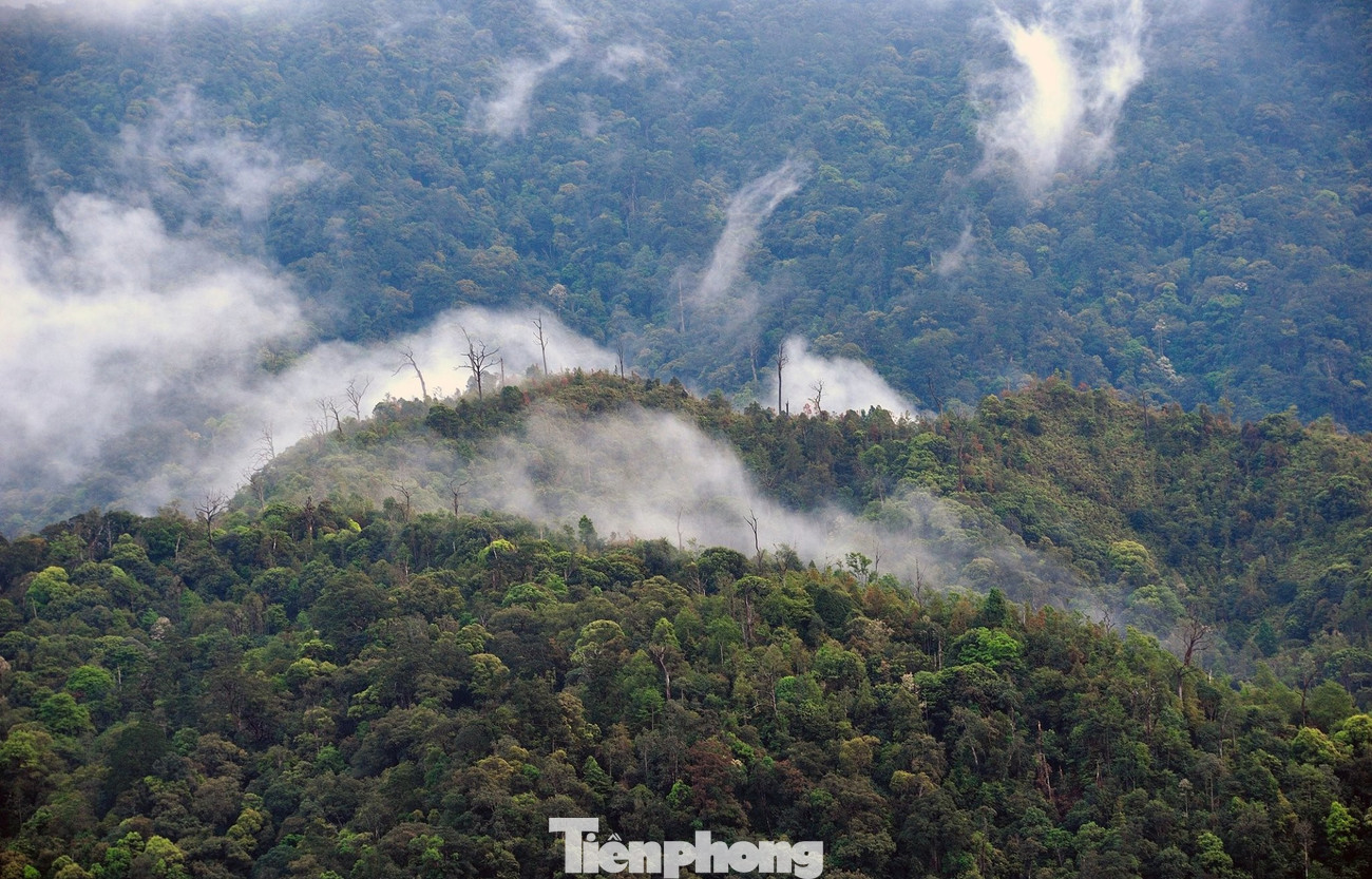 Khu bảo tồn loài sinh cảnh Chế Tạo – Mù Cang Chải nằm trên địa bàn các xã Chế Tạo, Nậm Khắt, Púng Luông, Lao Chải, Dế Xu Phình, với tổng diện tích trên 20.290ha. Khu bảo tồn là một vòng cung được tạo thành bởi một hệ thống núi cao từ 1.700 – 2.500m, bao quanh xã Chế Tạo và vùng đầu nguồn của sông Nậm Chải, đây là khu vực rừng phòng hộ lưu vực hệ thống sông Đà.