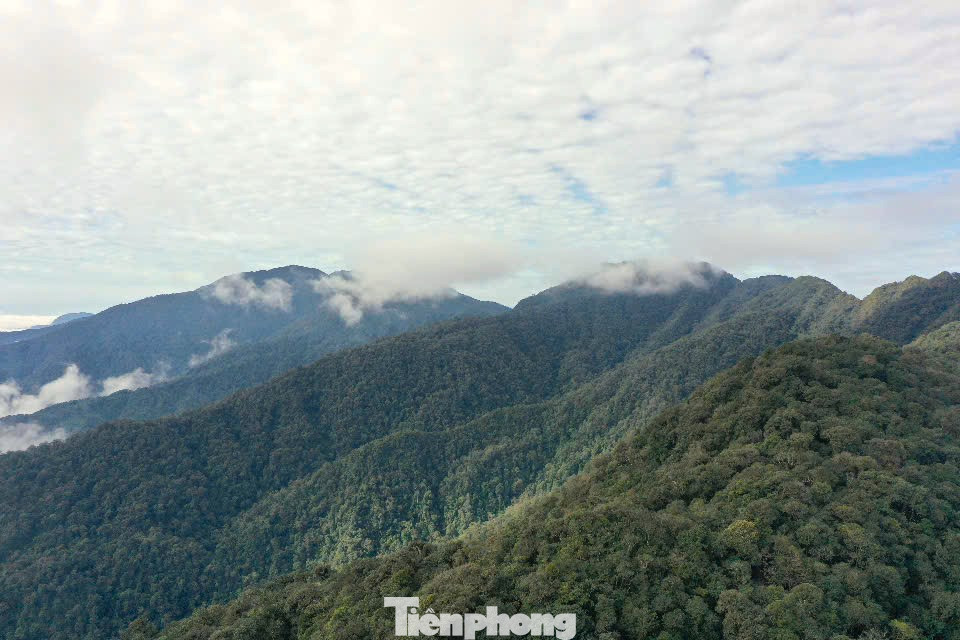 Vượt qua quãng đường bê tông đi xuyên giữa những ngọn núi cao trùng điệp, cách trung tâm huyện hơn 30km, Khu bảo tồn loài và sinh cảnh Mù Cang Chải ẩn hiện dưới những lớp sương mù dầy đặc, một vẻ đẹp vừa huyền ảo, kỳ bí nhưng cũng gây đầy sự tò mò với những ai khi đến nơi này.