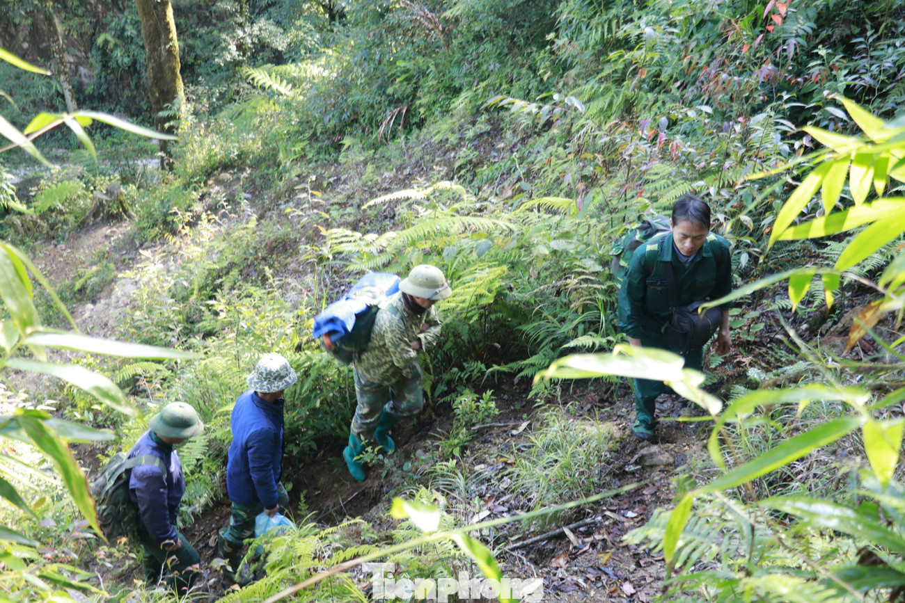 Ông Trần Xuân Dưỡng, Hạt trưởng Hạt kiểm lâm huyện Mù Cang Chải chia sẻ, các cá thể cây pơ mu và thiết sam đã được phát hiện từ lâu có ý nghĩa rất lớn về mặt giá trị lịch sử, do có độ tuổi hàng trăm năm, rất hữu ích cho việc bảo tồn nguồn gen, nghiên cứu môi trường trong quá khứ, về những nét văn hóa của nơi đây.