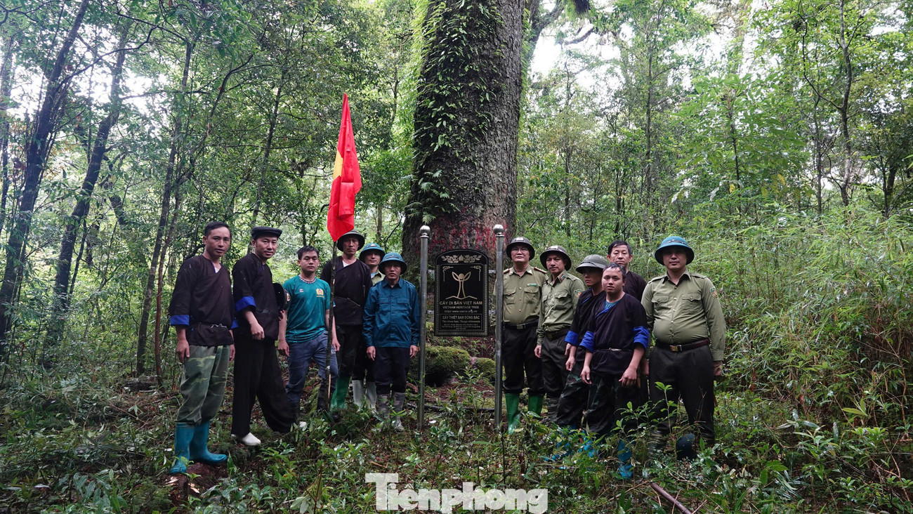 Việc lựa chọn và vinh danh cây di sản góp phần bảo tồn nguồn gen, nâng cao ý thức tôn trọng tự nhiên và trách nhiệm bảo vệ môi trường của cộng đồng, quảng bá sự phong phú, đa dạng với giá trị khoa học cao của hệ thực vật Việt Nam tạo nguồn du lịch sinh thái, nghiên cứu khoa học, ông Dưỡng cho biết thêm.