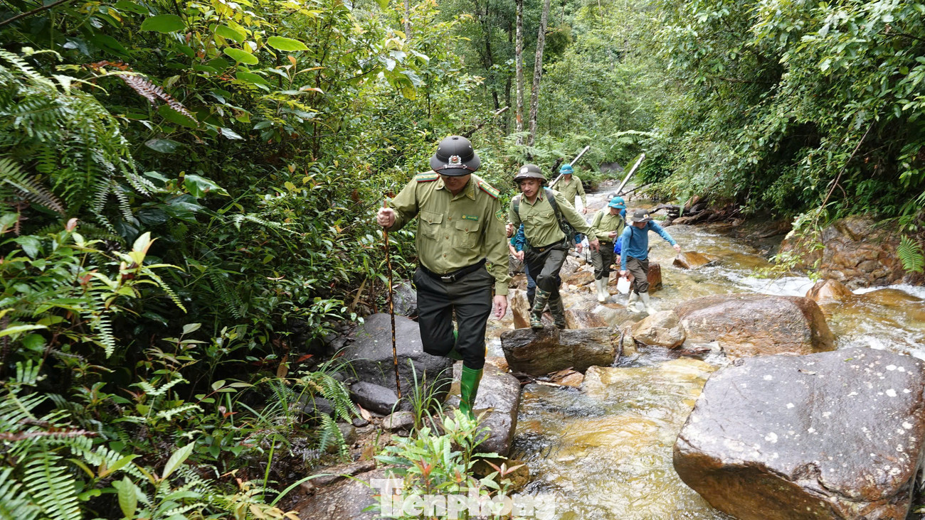 Việc lựa chọn và vinh danh cây di sản góp phần bảo tồn nguồn gen, nâng cao ý thức tôn trọng tự nhiên và trách nhiệm bảo vệ môi trường của cộng đồng, quảng bá sự phong phú, đa dạng với giá trị khoa học cao của hệ thực vật Việt Nam tạo nguồn du lịch sinh thái, nghiên cứu khoa học, ông Dưỡng cho biết thêm.