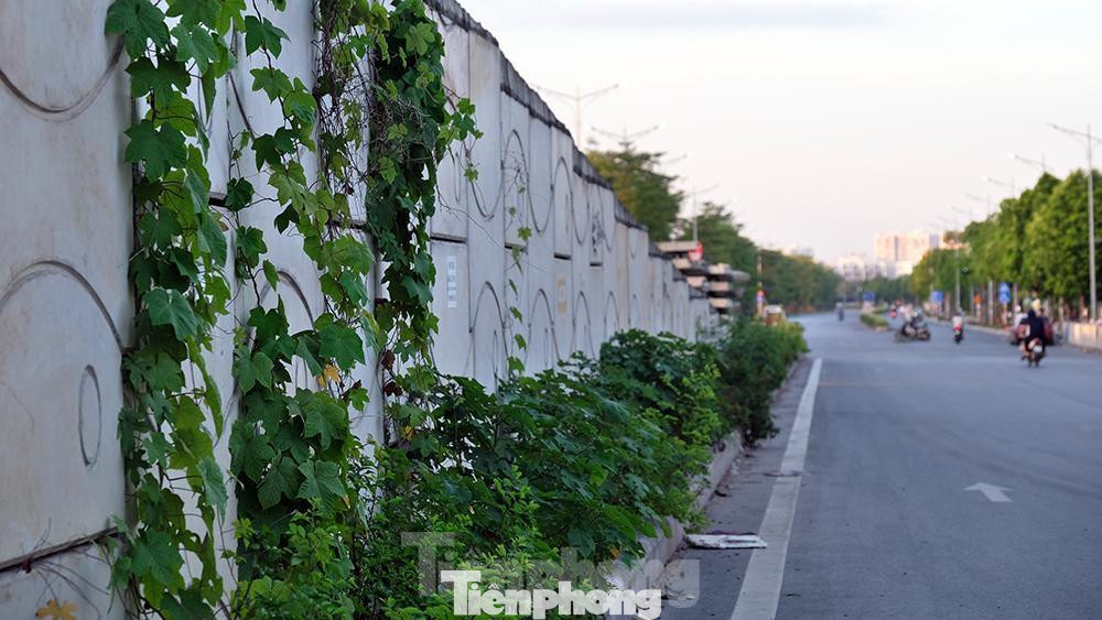 Lối lên cầu vượt đang thi công dở, nay cây dại mọc leo đã phủ kín gần hết bề mặt. Lối lên cầu vượt đang thi công dở, nay cây dại mọc leo đã phủ kín gần hết bề mặt.