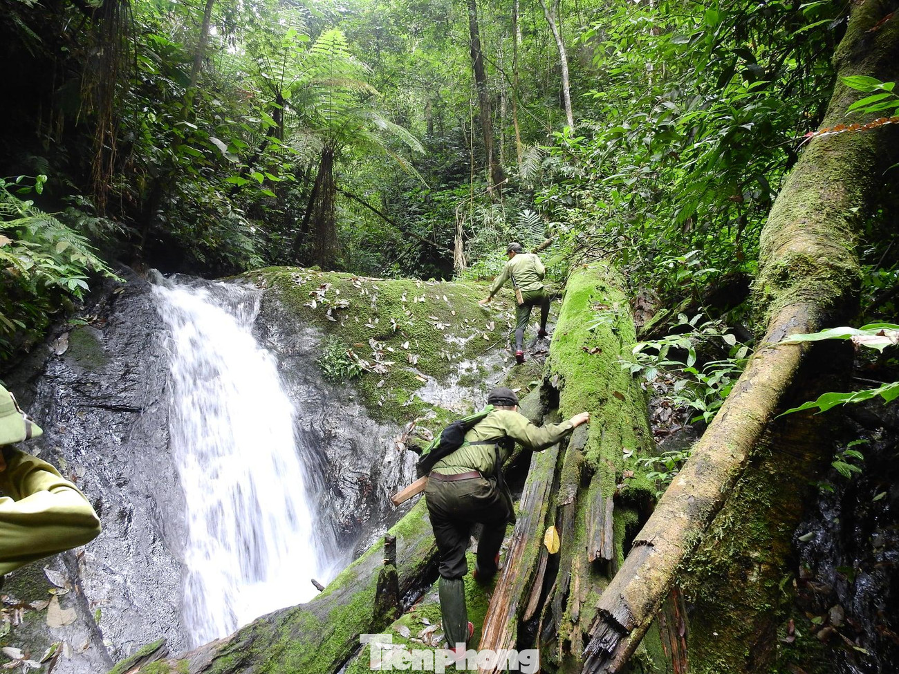Ông Trần Xuân Cường - Giám đốc Vườn quốc gia Pù Mát cho biết, từ khi đi vào hoạt động, đội đã phối hợp với kiểm lâm của vườn hoạt động rất hiệu quả. Tình hình đánh bắt hủy diệt nguồn lợi thủy sinh cơ bản được khống chế, chấm dứt các điểm nóng khai thác lâm sản và săn bắt động vật hoang dã.
