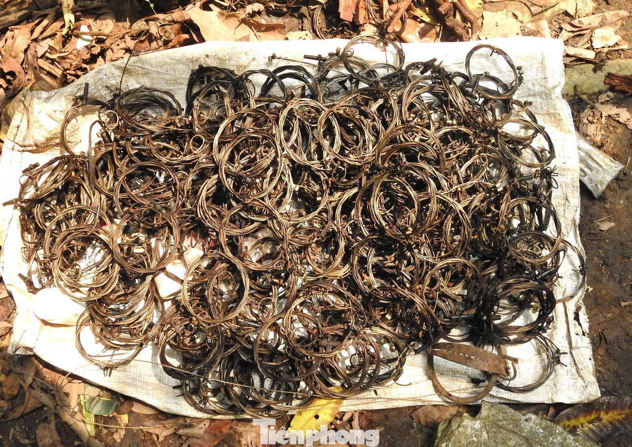 Những chuyến đi không biết mệt mỏi ấy đã giúp đội đã phá hủy trên 10.000 chiếc bẫy thú; giải cứu hàng chục cá thể động vật mắc bẫy. Tuy nhiên, hàng trăm con thú rừng được phát hiện quá muộn nên không thể cứu chữa.