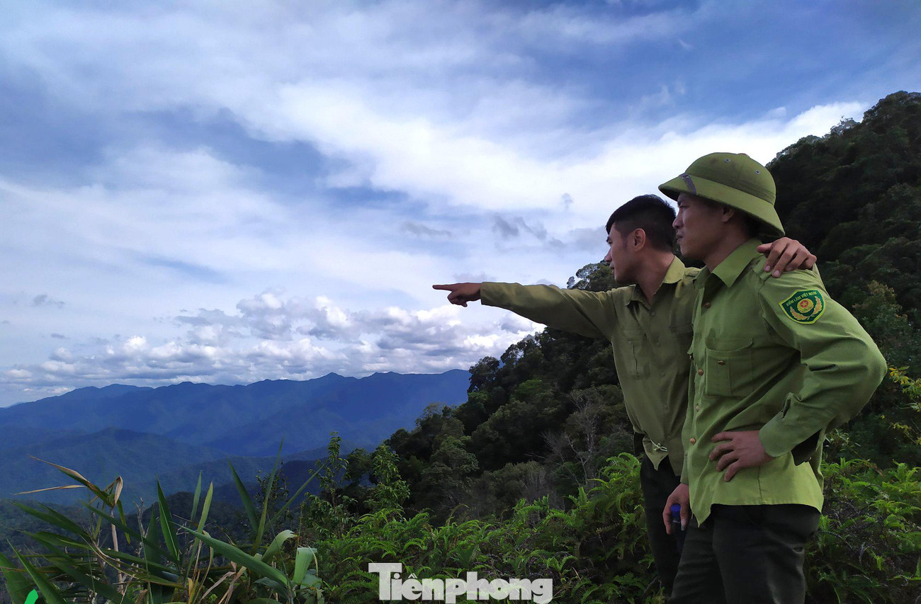 Pù Mát là rừng nguyên sinh, nằm ở sườn đông của dãy Trường Sơn với độ cao trung bình 1.200 - 1.400m so với mực nước biển, thuộc địa phận 3 huyện của Nghệ An, tiếp giáp với Lào và có hàng vạn người dân sống ven rừng. Với hàng trăm loài thú, chim và bò sát đang sinh sống, Vườn quốc gia Pù Mát luôn trở thành tâm điểm của thợ săn và lâm tặc.