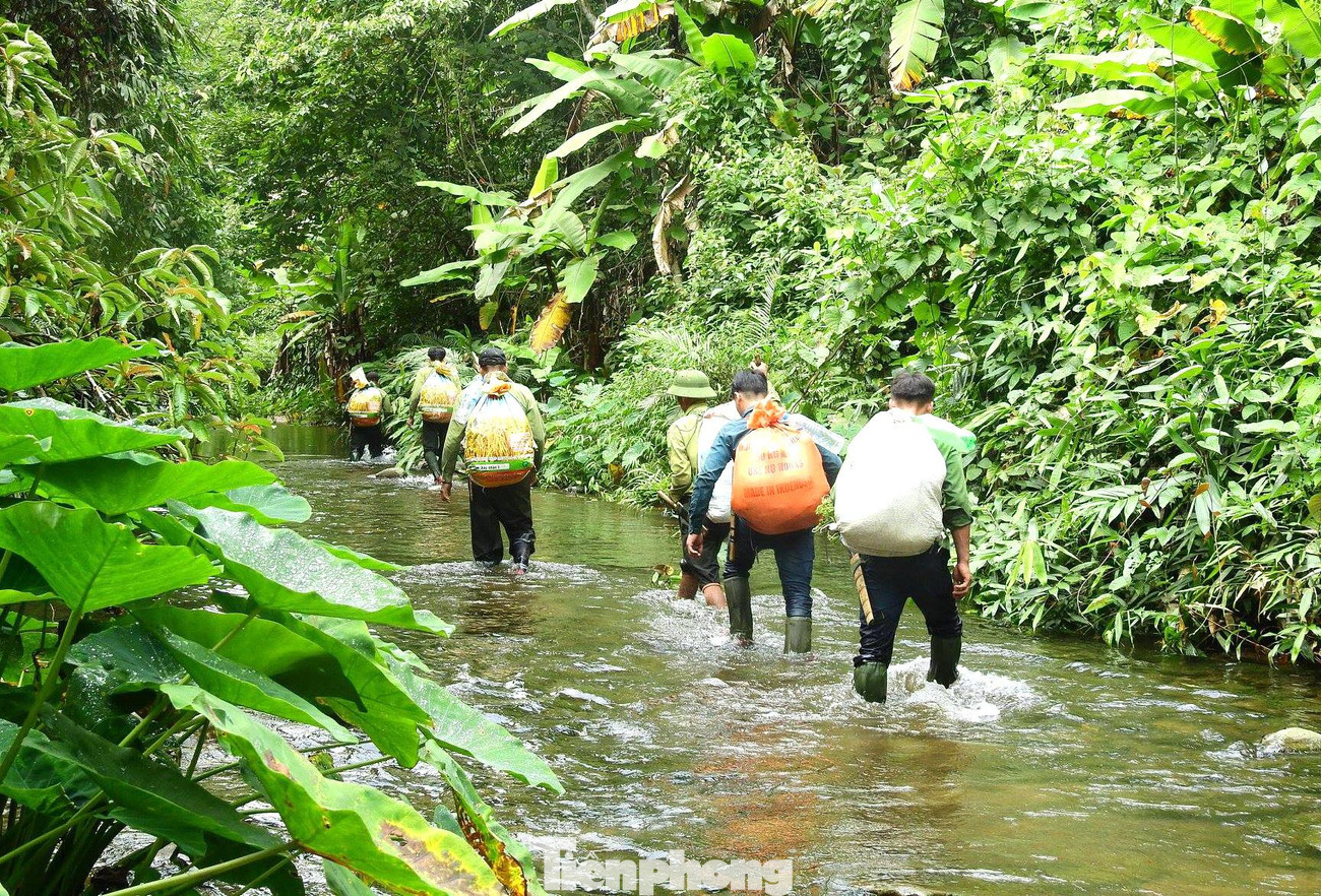 Hành trang mang theo khi vào rừng của những thành viên “biệt đội” này là gạo, cá khô, thịt lợn ướp muối, nồi, võng, tăng, thuốc men... Mỗi người gùi một bao tải nặng chừng 20 kg trên lưng. Để có sức băng rừng dài ngày trong điều kiện thời tiết bất lợi, anh em còn kèm theo vịt, gà lủng lẳng bên hông để vào rừng ăn lấy sức.