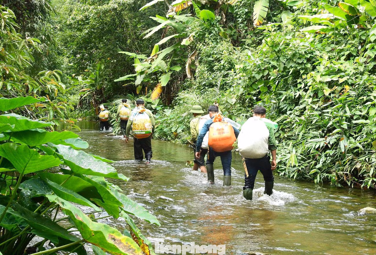 Hành trang mang theo khi vào rừng của những thành viên “biệt đội” này là gạo, cá khô, thịt lợn ướp muối, nồi, võng, tăng, thuốc men... Mỗi người gùi một bao tải nặng chừng 20 kg trên lưng. Để có sức băng rừng dài ngày trong điều kiện thời tiết bất lợi, anh em còn kèm theo vịt, gà lủng lẳng bên hông để vào rừng ăn lấy sức. Hành trang mang theo khi vào rừng của những thành viên “biệt đội” này là gạo, cá khô, thịt lợn ướp muối, nồi, võng, tăng, thuốc men... Mỗi người gùi một bao tải nặng chừng 20 kg trên lưng. Để có sức băng rừng dài ngày trong điều kiện thời tiết bất lợi, anh em còn kèm theo vịt, gà lủng lẳng bên hông để vào rừng ăn lấy sức.