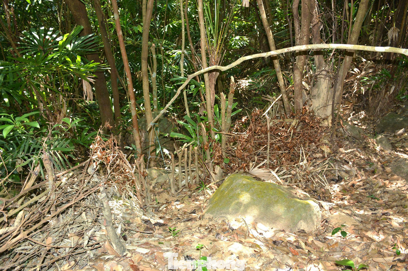 Sau khi giăng bẫy, đám thợ săn dựng lán và sống dài ngày trong rừng để chờ “thành quả”. Những con thú có giá trị thương mại cao bị dính bẫy, họ cho gùi ra khỏi rừng để bán ngay; những loại ít giá trị hơn, họ xẻ thịt rồi hong khô bằng củi ngay trong rừng.
