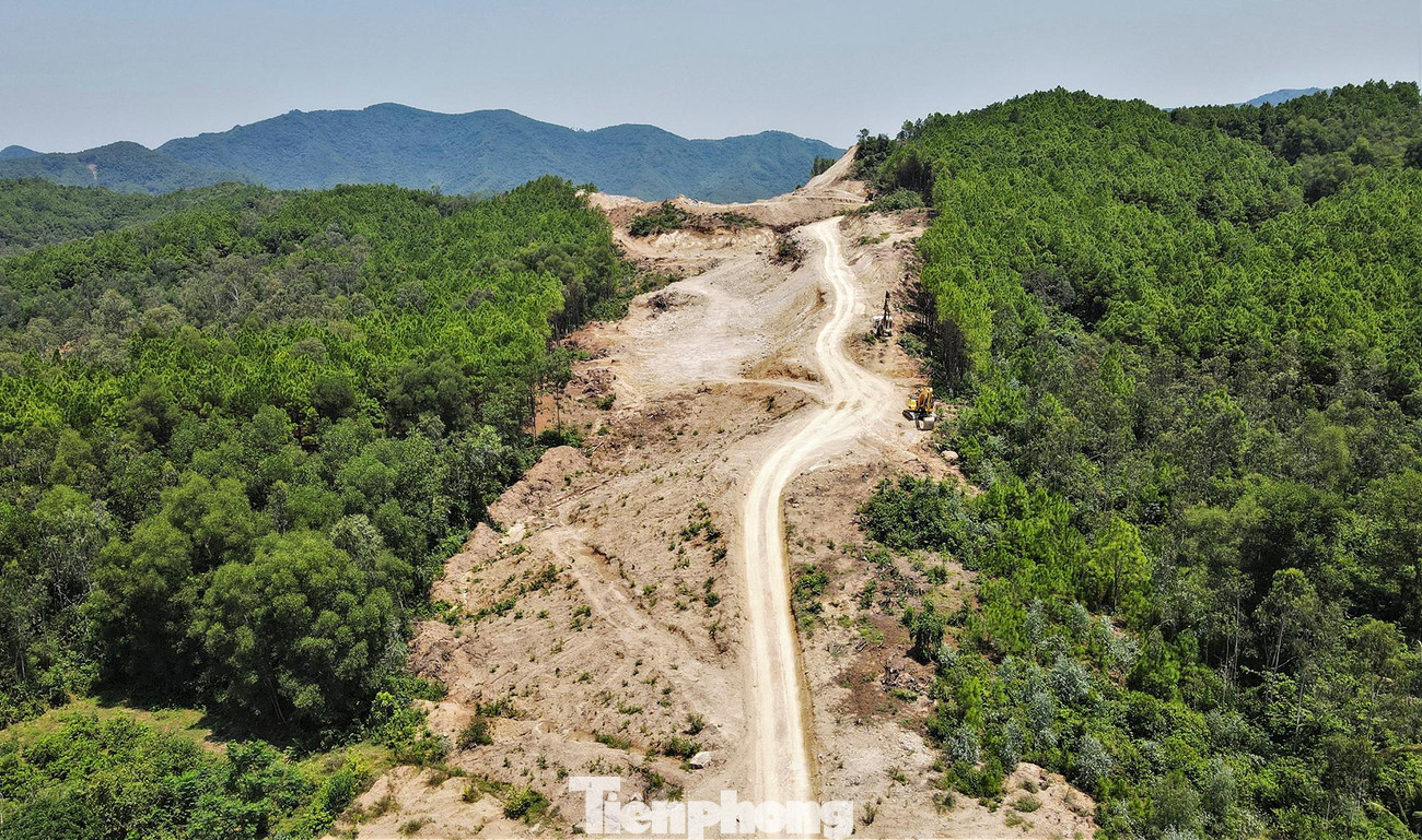 Đại diện Ban Quản lý Dự án 6 (Bộ GTVT - quản lý về mặt nhà nước) cho biết, đây là dự án đầu tiên trong 3 cao tốc Bắc - Nam theo hình thức công tư PPP được triển khai. Nhà đầu tư là Liên danh Công ty TNHH Hòa Hiệp - Công ty CP Tập đoàn CIENCO4 - Công ty TNHH Đầu tư Núi Hồng - Tổng Công ty Xây dựng Trường Sơn - Công ty CP Đầu tư và Xây dựng VINA2. Doanh nghiệp dự án là Công ty CP đầu tư Phúc Thành Hưng.