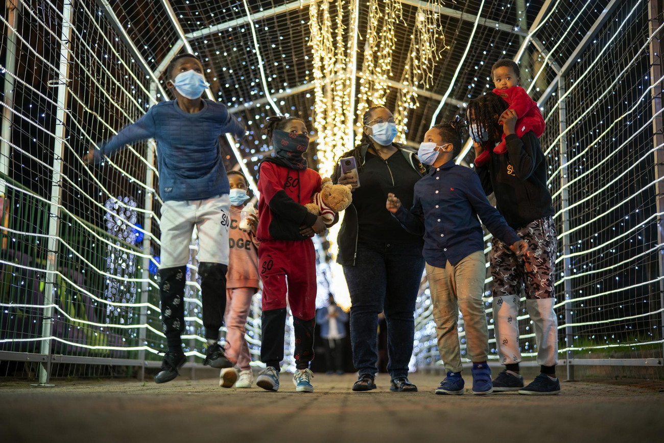 Lễ hội ánh sáng ở sở thú Johannesburg (Nam Phi). Ảnh: AP