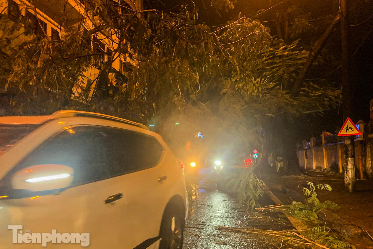 Cây đổ chắn ngang hết lòng đường tuyến phố Thái Thịnh. Cây đổ chắn ngang hết lòng đường tuyến phố Thái Thịnh.