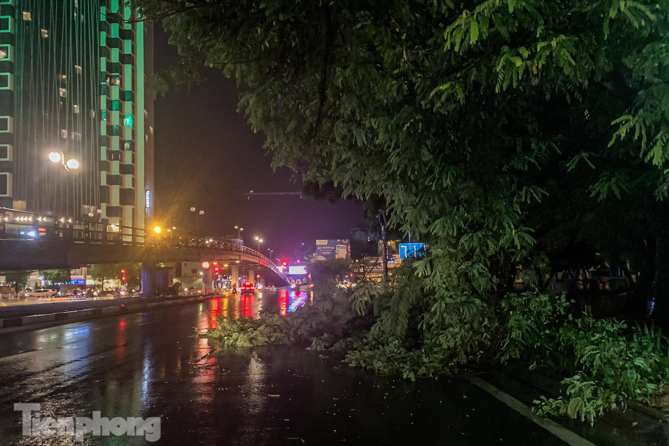 Cây, cành đổ xuống trên phố Tây Sơn. Cây, cành đổ xuống trên phố Tây Sơn.
