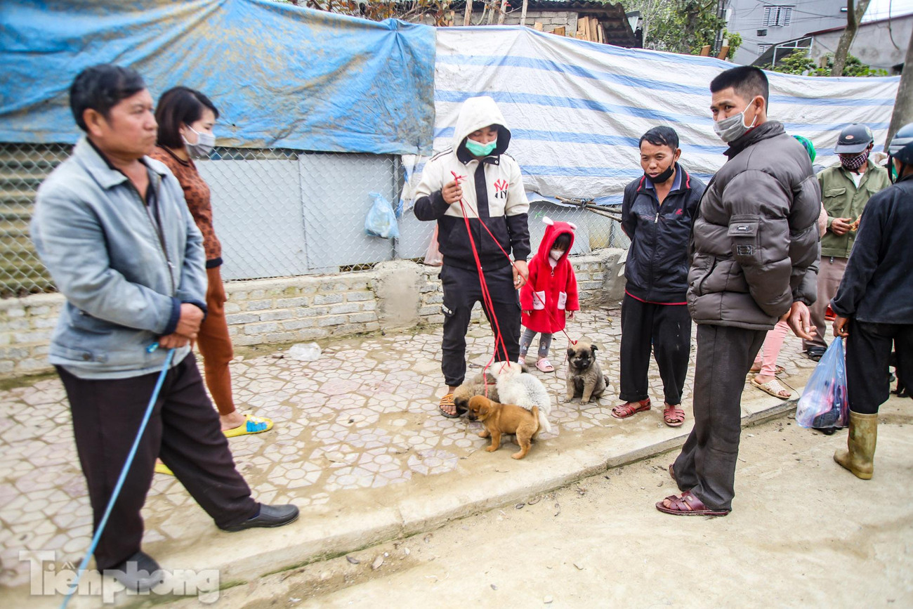 Giá mỗi chú chó dao động từ 300.000 - 800.000 đồng/con. Nhưng cũng có con giá vài triệu đồng, thậm chí hàng chục triệu đồng.