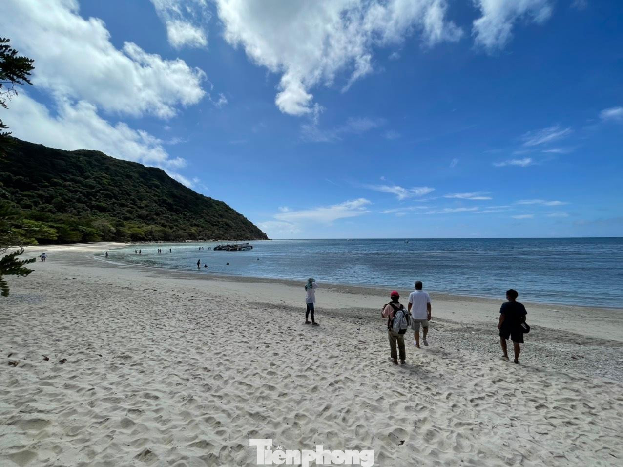 Bãi biển thuộc Hòn Bảy Cạnh huyện Côn Đảo, tỉnh Bà Rịa-Vũng Tàu là nơi rùa làm tổ đẻ trứng nhiều nhất Việt Nam. Bãi biển thuộc Hòn Bảy Cạnh huyện Côn Đảo, tỉnh Bà Rịa-Vũng Tàu là nơi rùa làm tổ đẻ trứng nhiều nhất Việt Nam.