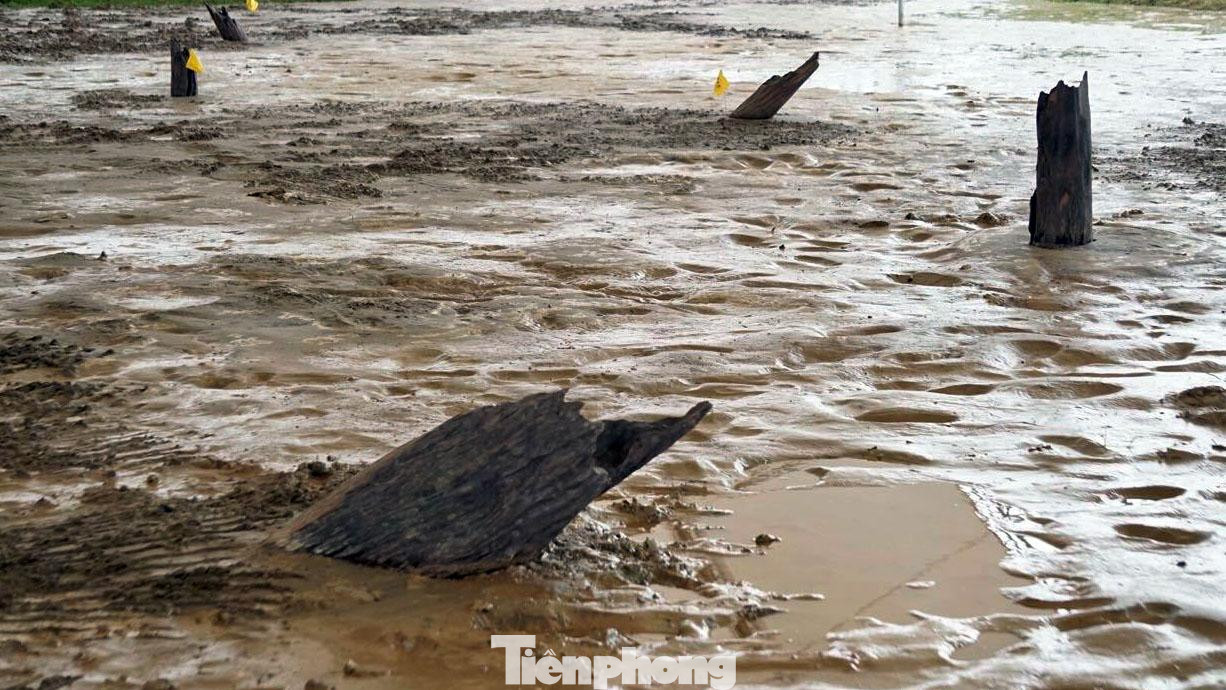 Qua đó, các nhà khoa học phát hiện 27 cọc gỗ thuộc trận chiến Bạch Đằng lần 3 - năm 1288. Đây là trận địa ngăn chặn quân Mông - Nguyên tại khu vực sông Giá và khu vực chỉ huy của Hưng Đạo Đại Vương Trần Quốc Tuấn. Năm 2020, TP Hải Phòng đầu tư 362 tỷ đồng xây dựng đường dẫn và Khu bảo tồn bãi cọc Cao Quỳ nhằm lưu giữ, giới thiệu những chứng tích lịch sử. Qua đó, các nhà khoa học phát hiện 27 cọc gỗ thuộc trận chiến Bạch Đằng lần 3 - năm 1288. Đây là trận địa ngăn chặn quân Mông - Nguyên tại khu vực sông Giá và khu vực chỉ huy của Hưng Đạo Đại Vương Trần Quốc Tuấn. Năm 2020, TP Hải Phòng đầu tư 362 tỷ đồng xây dựng đường dẫn và Khu bảo tồn bãi cọc Cao Quỳ nhằm lưu giữ, giới thiệu những chứng tích lịch sử.