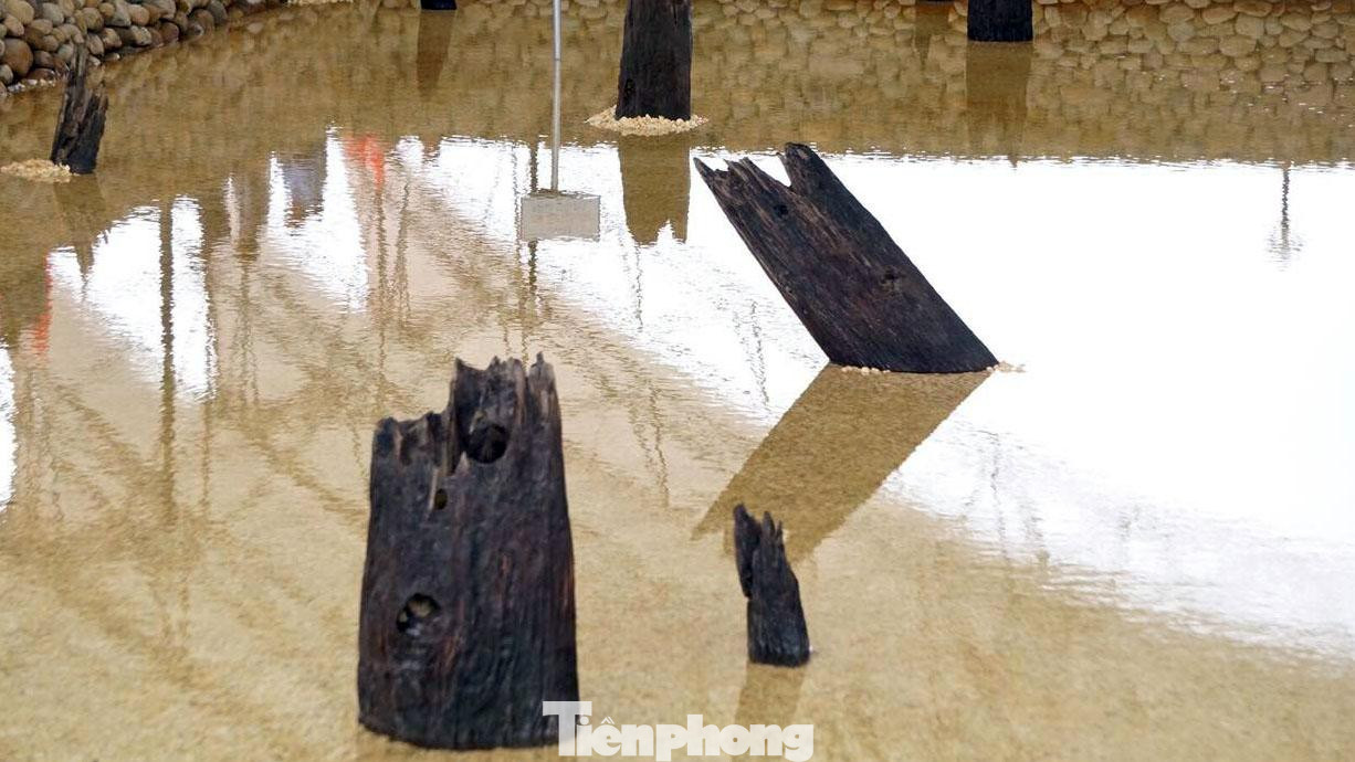 Cách Khu di tích Bạch Đằng Giang không xa, Khu bảo tồn bãi cọc Cao Quỳ có diện tích hơn 30.600m2, thuộc xã Liên Khê (huyện Thủy Nguyên). Bãi cọc Cao Quỳ được Viện Khảo cổ học phối hợp với Sở Văn hóa, Bảo tàng Hải Phòng khai quật cuối năm 2019. Cách Khu di tích Bạch Đằng Giang không xa, Khu bảo tồn bãi cọc Cao Quỳ có diện tích hơn 30.600m2, thuộc xã Liên Khê (huyện Thủy Nguyên). Bãi cọc Cao Quỳ được Viện Khảo cổ học phối hợp với Sở Văn hóa, Bảo tàng Hải Phòng khai quật cuối năm 2019.