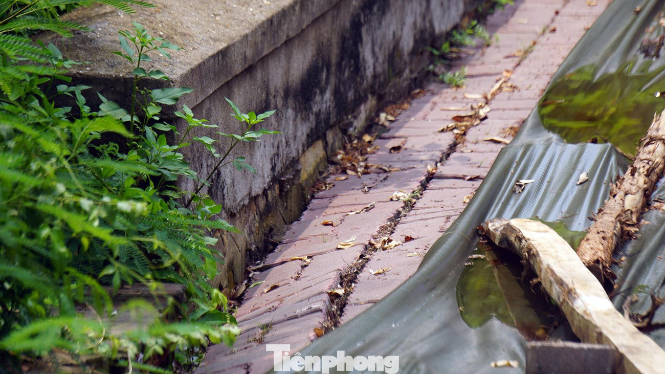 Lan can đường Hiếu Tử (quận Đồ Sơn) bị xô nghiêng, tách khỏi vỉa hè sau khi xuất hiện tình trạng sạt lở núi, sụt lún đường.