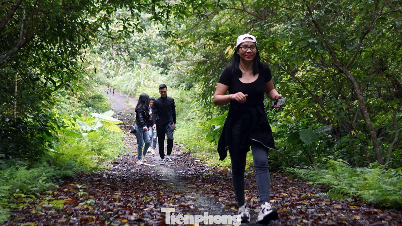 Với lợi thế rừng nguyên sinh rộng lớn, hệ sinh thái đa dạng, hằng năm VQG Cát Bà đón lượng lớn du khách trong nước và quốc tế tham quan: đi bộ, đạp xe, cắm trại... Đến đây, du khách sẽ có những trải nghiệm thú vị, được hòa vào thiên nhiên hoang sơ, hùng vĩ. Trong ảnh: Một nhóm du khách trải nghiệm chuyến đi bộ xuyên rừng Cát Bà. Với lợi thế rừng nguyên sinh rộng lớn, hệ sinh thái đa dạng, hằng năm VQG Cát Bà đón lượng lớn du khách trong nước và quốc tế tham quan: đi bộ, đạp xe, cắm trại... Đến đây, du khách sẽ có những trải nghiệm thú vị, được hòa vào thiên nhiên hoang sơ, hùng vĩ. Trong ảnh: Một nhóm du khách trải nghiệm chuyến đi bộ xuyên rừng Cát Bà.