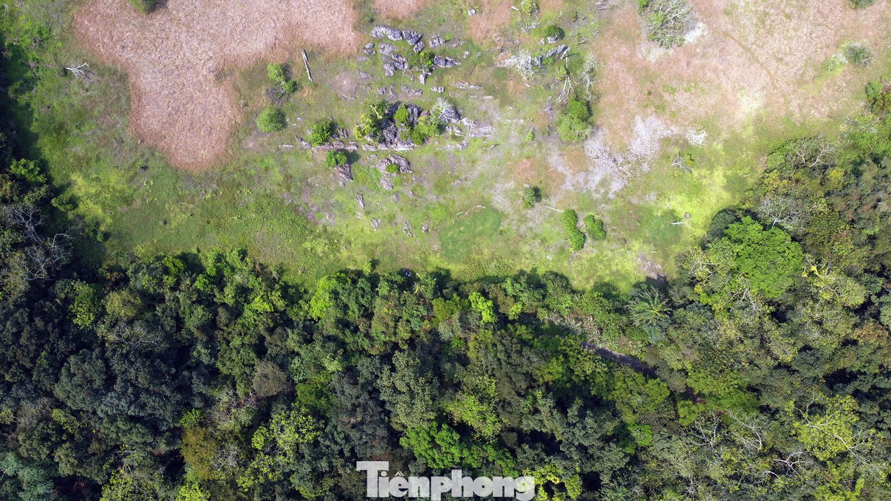 Trong rừng nguyên sinh của VQG Cát Bà có nhiều thung, áng, hồ nước ngọt. Vào mùa cạn, một số thung, áng cạn nước tạo nên những thảm thực vật xanh mượt, hấp dẫn du khách tham quan. Trong rừng nguyên sinh của VQG Cát Bà có nhiều thung, áng, hồ nước ngọt. Vào mùa cạn, một số thung, áng cạn nước tạo nên những thảm thực vật xanh mượt, hấp dẫn du khách tham quan.