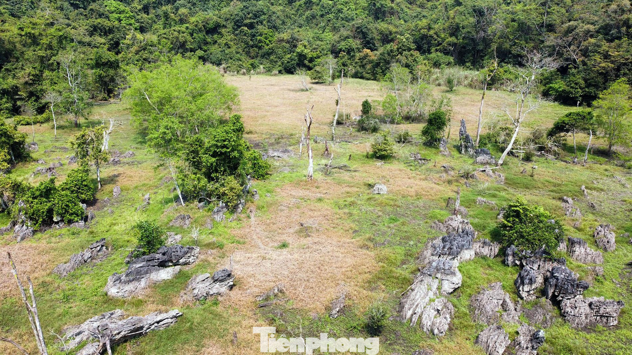 VQG Cát Bà có khí hậu nhiệt đới gió mùa và chịu ảnh hưởng trực tiếp của khí hậu đại dương, có gió mùa Tây Nam về mùa hạ và gió mùa Đông Bắc mùa đông, kèm theo lượng mưa lớn. Do đó, nơi đây có có 7 hệ sinh thái khác nhau, nổi bật như: rừng ngập mặn, rừng trên núi đá vôi, rừng trên hồ nước ngọt, đầm triều, thung áng. VQG Cát Bà có khí hậu nhiệt đới gió mùa và chịu ảnh hưởng trực tiếp của khí hậu đại dương, có gió mùa Tây Nam về mùa hạ và gió mùa Đông Bắc mùa đông, kèm theo lượng mưa lớn. Do đó, nơi đây có có 7 hệ sinh thái khác nhau, nổi bật như: rừng ngập mặn, rừng trên núi đá vôi, rừng trên hồ nước ngọt, đầm triều, thung áng.