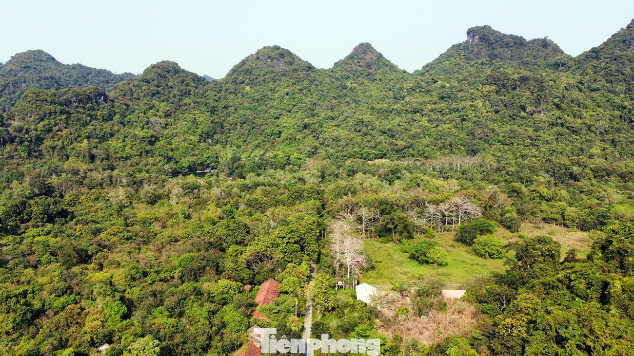 Du khách có quỹ thời gian eo hẹp có thể chọn cung đường của tuyến rừng Kim Giao - núi Ngự Lâm đi về trong ngày. Chỉ mất khoảng 2 giờ, du khách có thể quan sát được hệ sinh thái cũng như hang động của quần đảo Cát Bà, đặc trưng đó là động Trung Trang. Du khách có quỹ thời gian eo hẹp có thể chọn cung đường của tuyến rừng Kim Giao - núi Ngự Lâm đi về trong ngày. Chỉ mất khoảng 2 giờ, du khách có thể quan sát được hệ sinh thái cũng như hang động của quần đảo Cát Bà, đặc trưng đó là động Trung Trang.