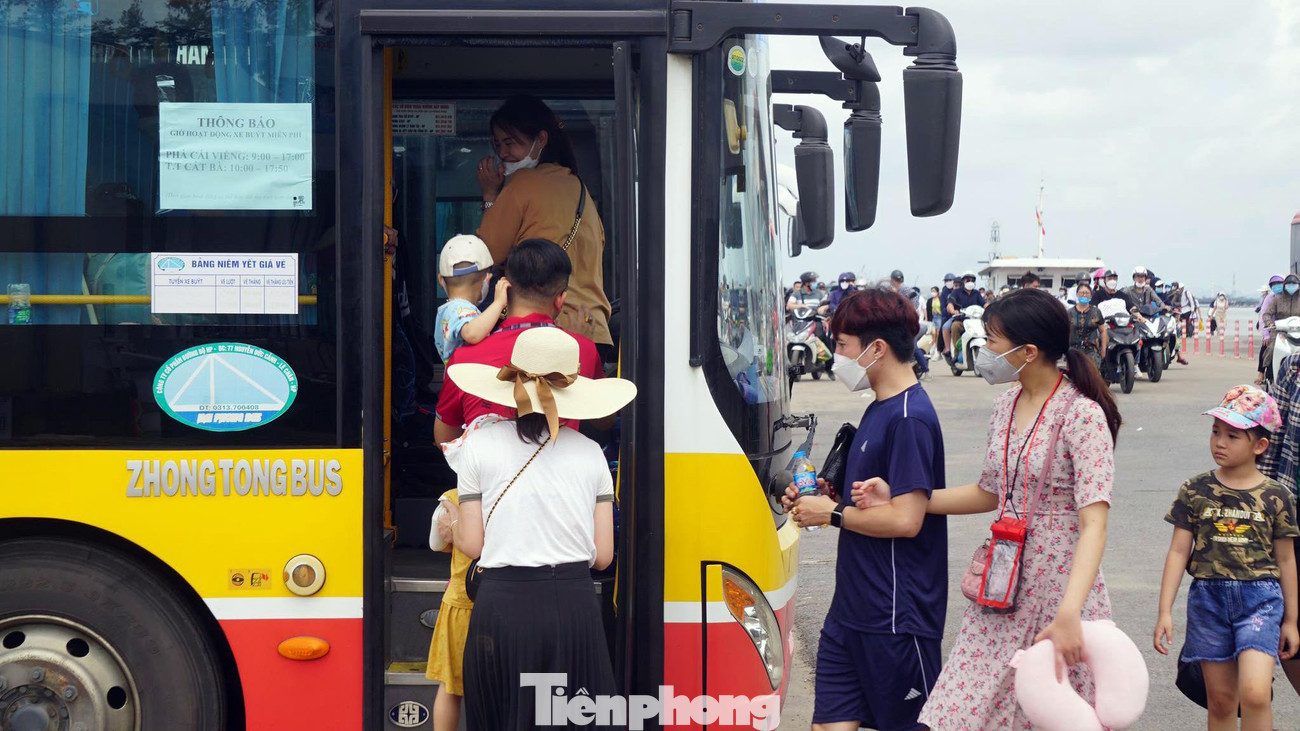 Thành phố Hải Phòng cũng bố trí hàng chục xe buýt miễn phí phục vụ khách đi bộ hoặc người dân từ phà Cái Viềng vào trung tâm thị trấn Cát Bà.