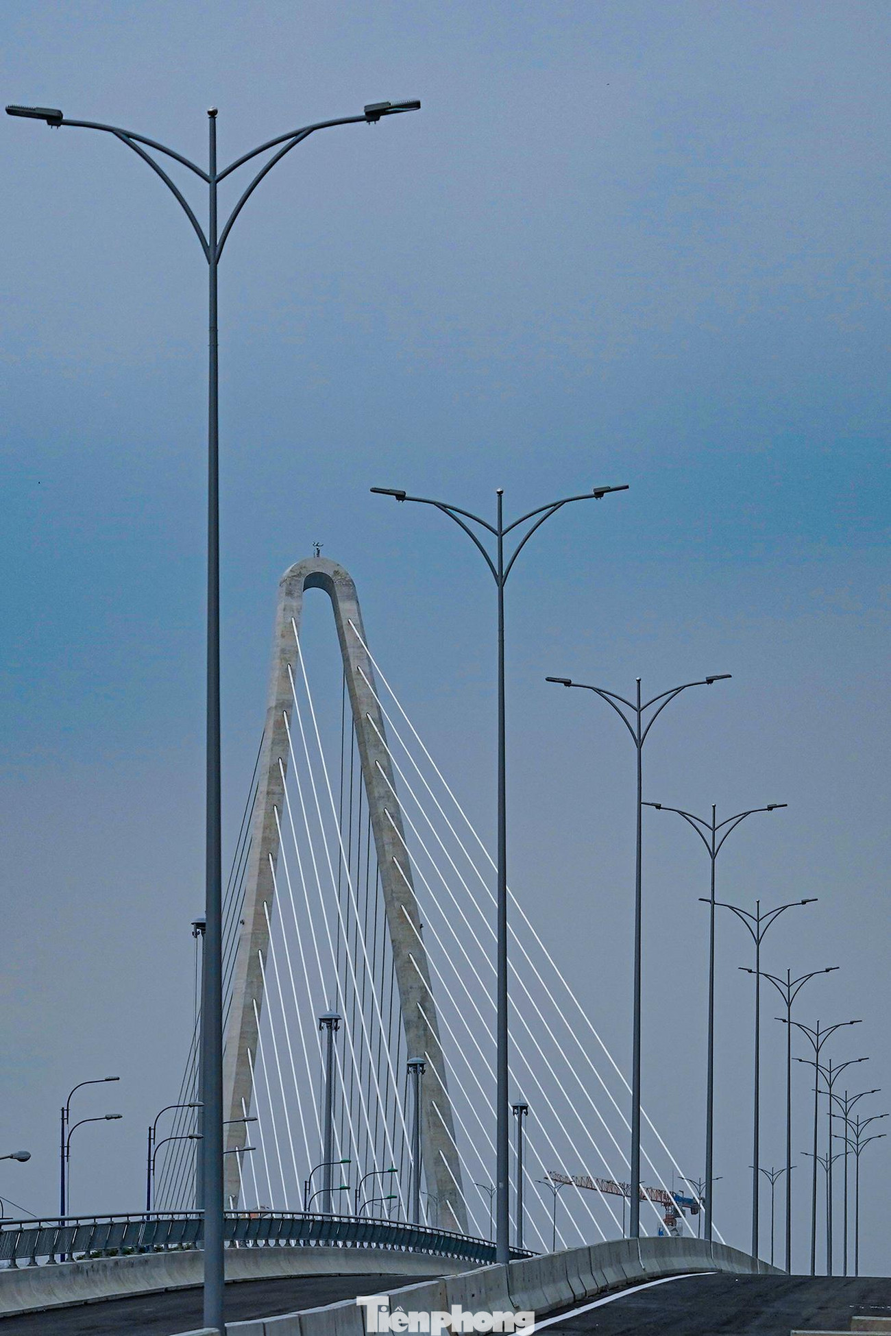 Cầu Thủ Thiêm 2 hứa hẹn sẽ là địa điểm check-in thú vị của người dân thành phố và du khách.