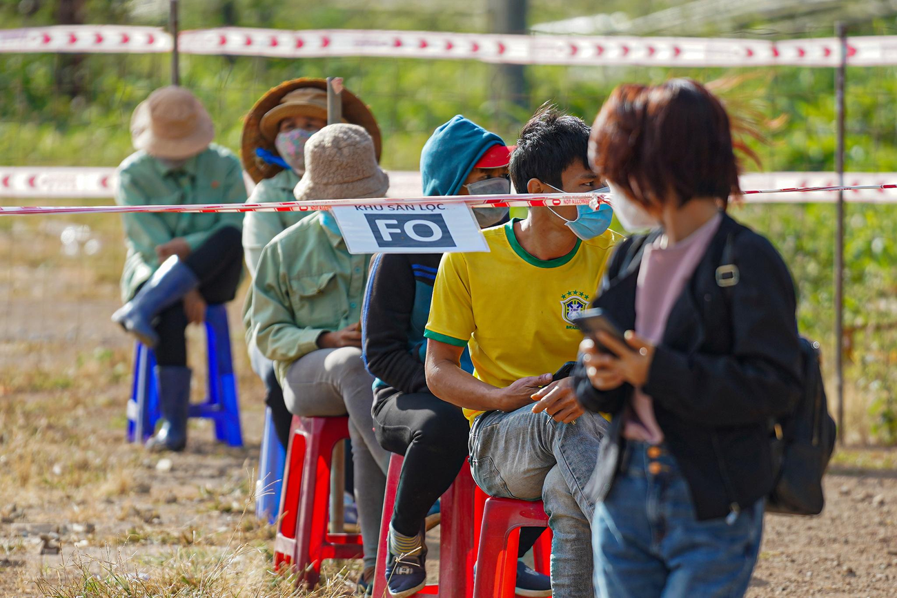 Công tác sàng lọc F0 tại các vườn hoa lớn duy trì liên tục để có thể can thiệp sớm, bảo vệ sức khoẻ công nhân, không làm thiếu hụt lao động... Công tác sàng lọc F0 tại các vườn hoa lớn duy trì liên tục để có thể can thiệp sớm, bảo vệ sức khoẻ công nhân, không làm thiếu hụt lao động...