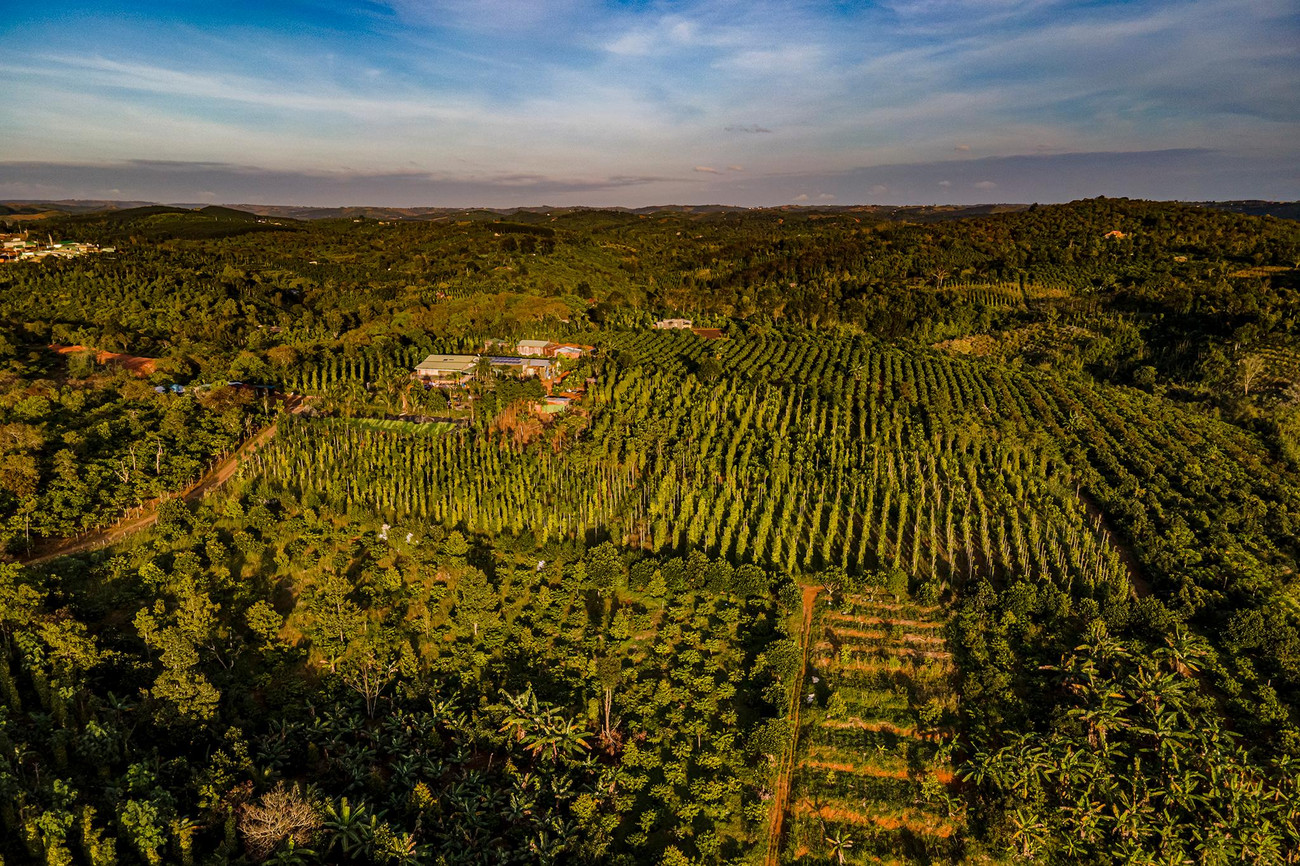 Trang trại gần 4 hecta của anh Lực nằm tại một ngọn đồi thuộc phường Quảng Thành, TP Gia Nghĩa, tỉnh Đắk Nông.