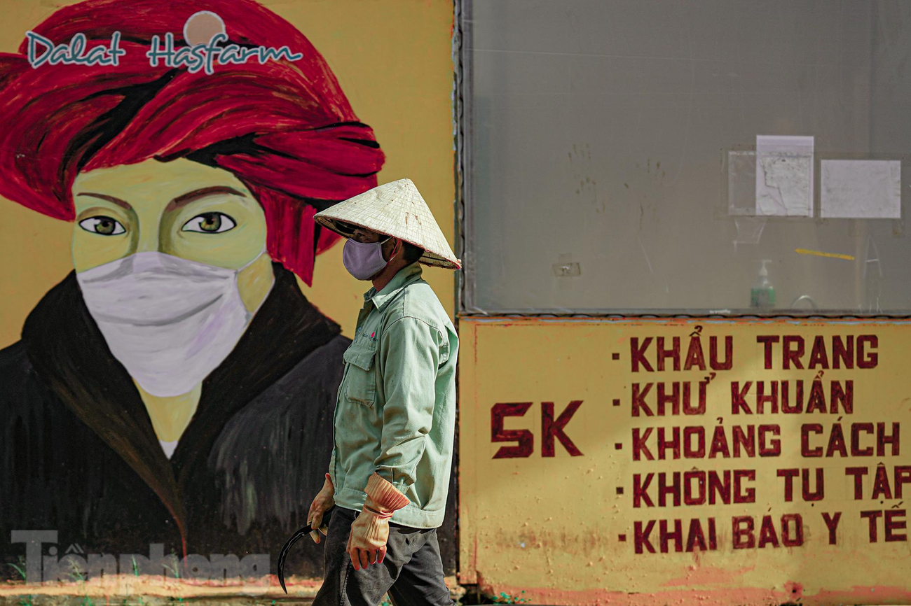 "Những ngày này, chúng tôi phải tuân thủ nguyên tắc 5K. Không ai nhắc ai, tự giác chấp hành, vì nếu không bảo vệ bản thân mình, không thể đi làm thì lấy tiền đâu tiêu tết", ông Lê Thành Tín, công nhân hoa chia sẻ khi chuẩn bị vào ca. "Những ngày này, chúng tôi phải tuân thủ nguyên tắc 5K. Không ai nhắc ai, tự giác chấp hành, vì nếu không bảo vệ bản thân mình, không thể đi làm thì lấy tiền đâu tiêu tết", ông Lê Thành Tín, công nhân hoa chia sẻ khi chuẩn bị vào ca.