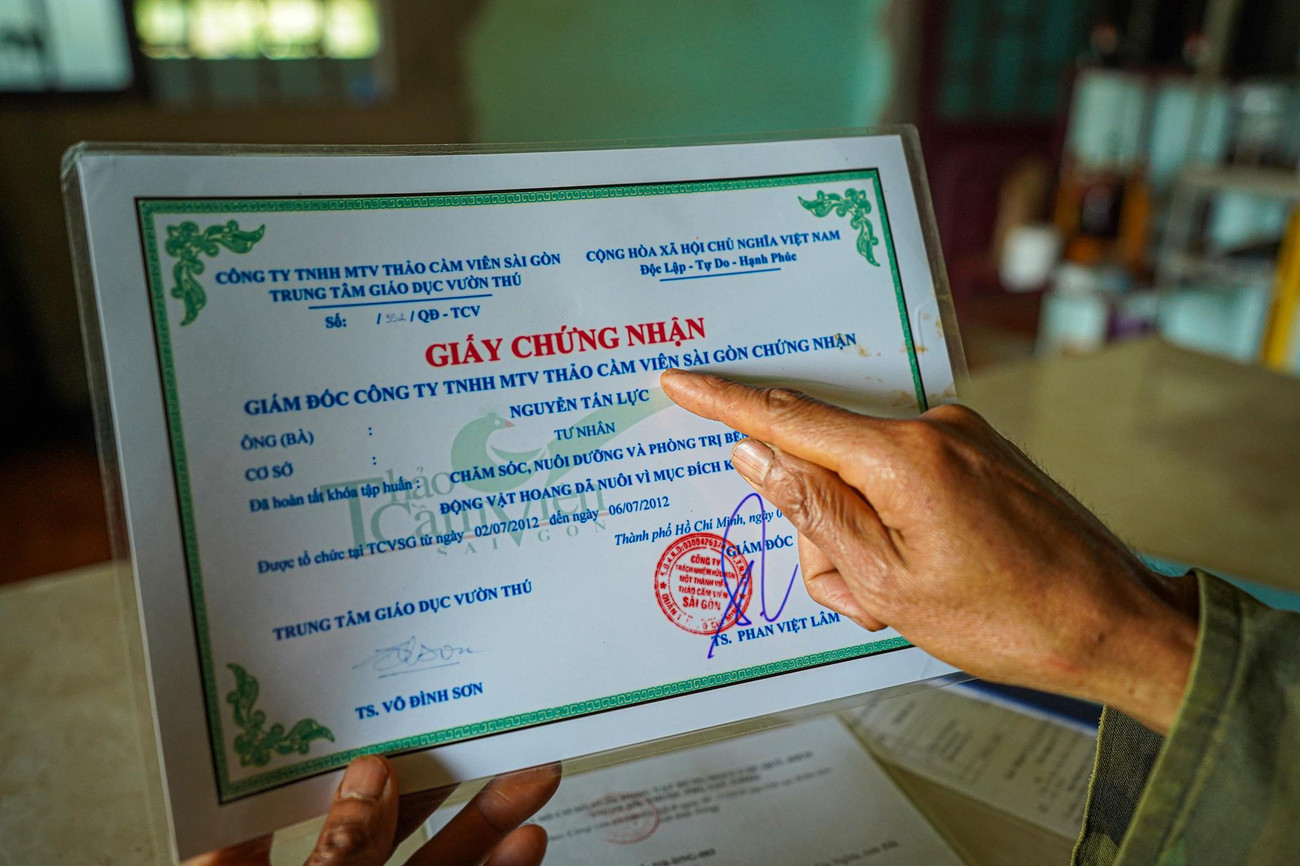 Đầu tư nuôi chồn lấy cà phê mới hơn ba năm nhưng từ 9 năm trước, anh Lực đã chủ động mày mò đi học cách chăm sóc thú ở Thảo Cầm Viên Sài Gòn.