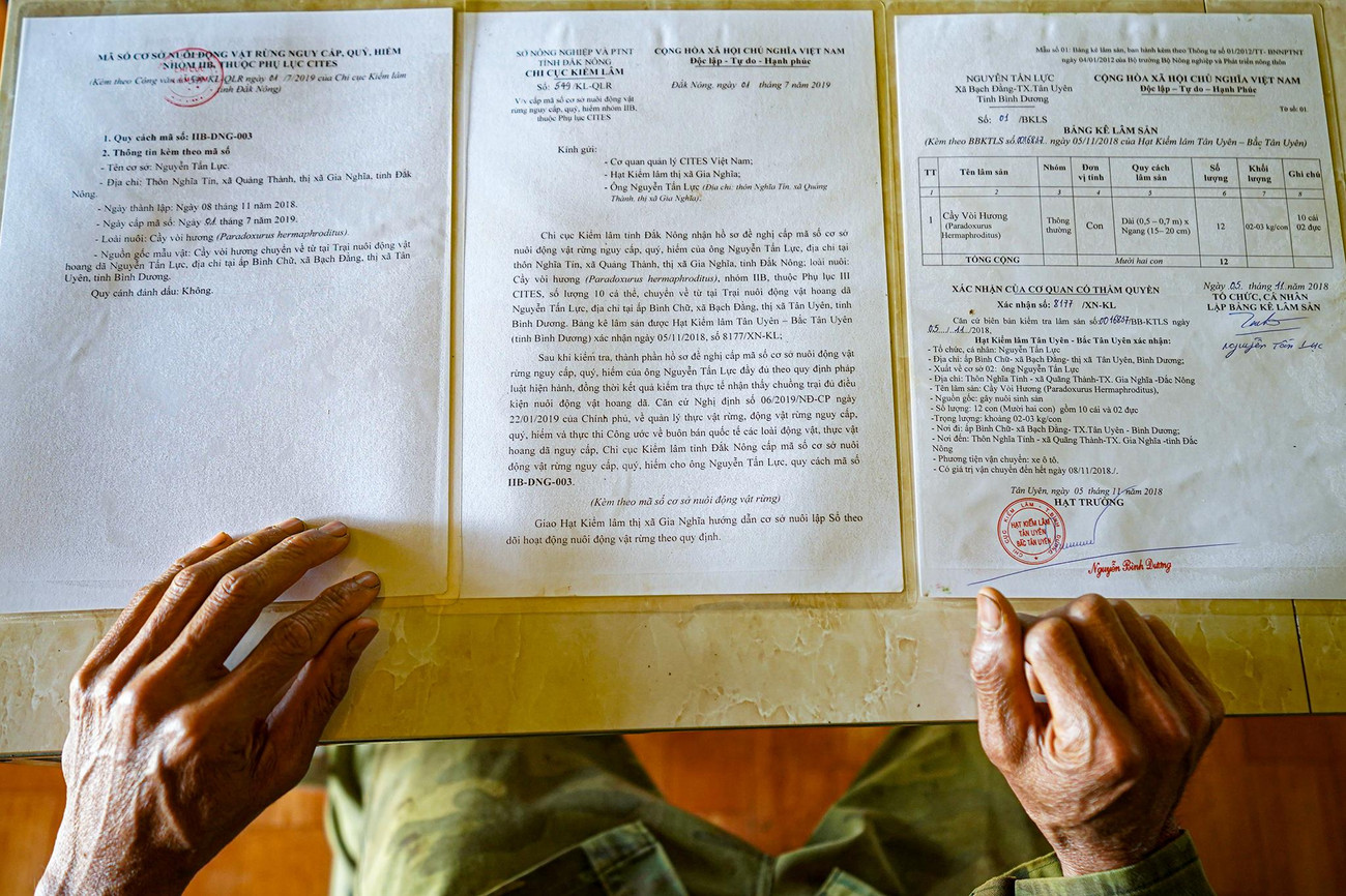 Những giấy tờ cần thiết để anh Lực có thể nuôi nhốt chồn hương để sản xuất cà phê do Chi cục Kiểm lâm tỉnh Đắk Nông cấp.