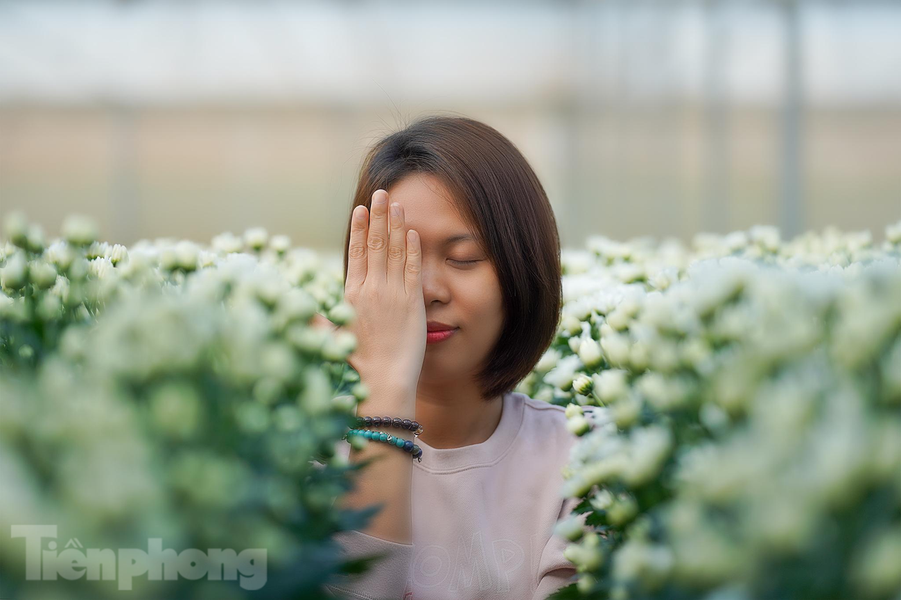 Những cánh đồng hoa cúc làm cho những vị khách phương xa mê mẩn, tạo dáng, cảm nhận hương thơm... Những cánh đồng hoa cúc làm cho những vị khách phương xa mê mẩn, tạo dáng, cảm nhận hương thơm...