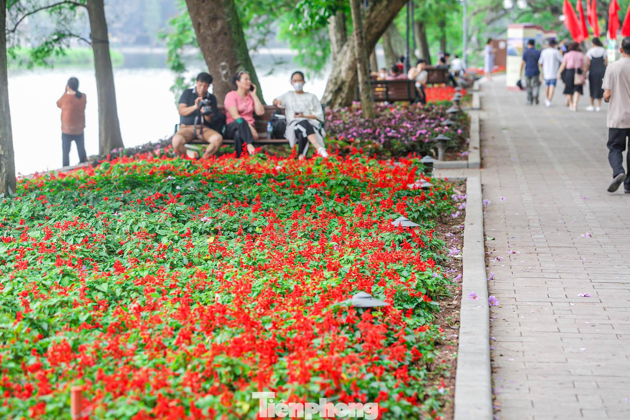 Thảm hoa rực rỡ sắc màu bên hồ Hoàn Kiếm.