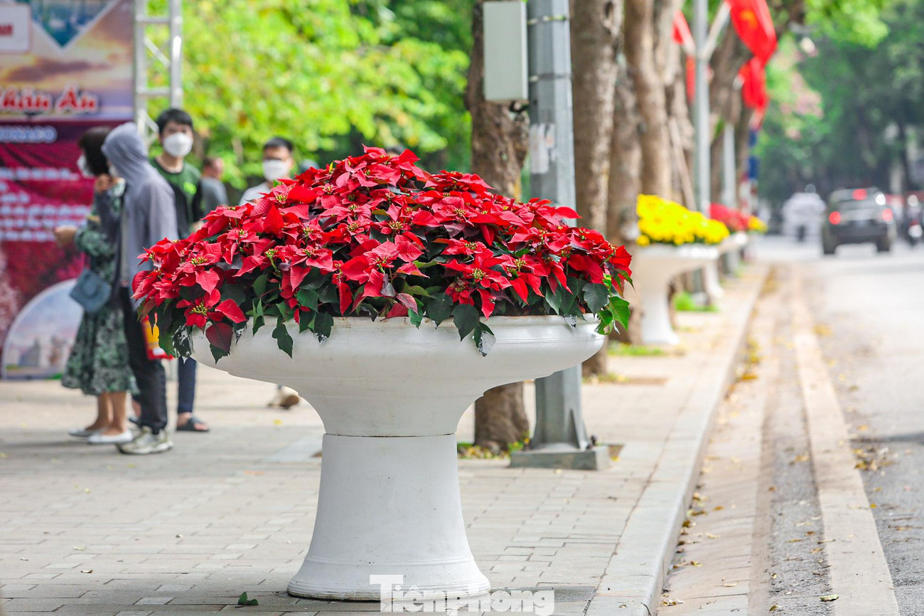 Bồn hoa với tông đỏ vàng bắt mắt được trang trí dọc vỉa hè hồ Hoàn Kiếm.