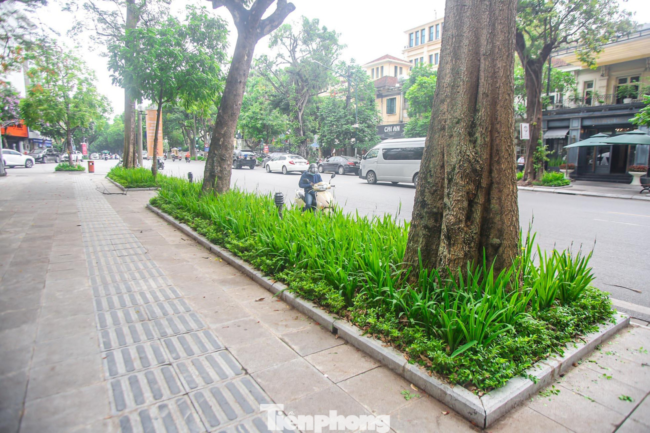 Để đảm bảo môi trường đô thị xanh, sạch, đẹp trước và trong suốt quá trình diễn ra SEA Games 31, quận Hoàn Kiếm thực hiện công tác duy trì cây xanh đô thị, tăng cường chăm sóc, cắt tỉa thảm cỏ, thảm màu, cây đường viền tại dải phân cách, vỉa hè, các vườn hoa, tiểu cảnh tại các tuyến phố chính như Hàng Bài, Bà Triệu, Trần Hưng Đạo, Lý Thường Kiệt, Hai Bà Trưng, các tuyến phố xung quanh hồ Hoàn Kiếm....