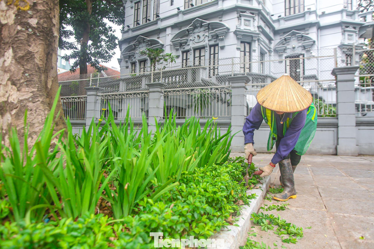 Thảm hoa, thảm cỏ sẽ được cắt tỉa xuyên suốt quá trình diễn ra SEA Games 31.