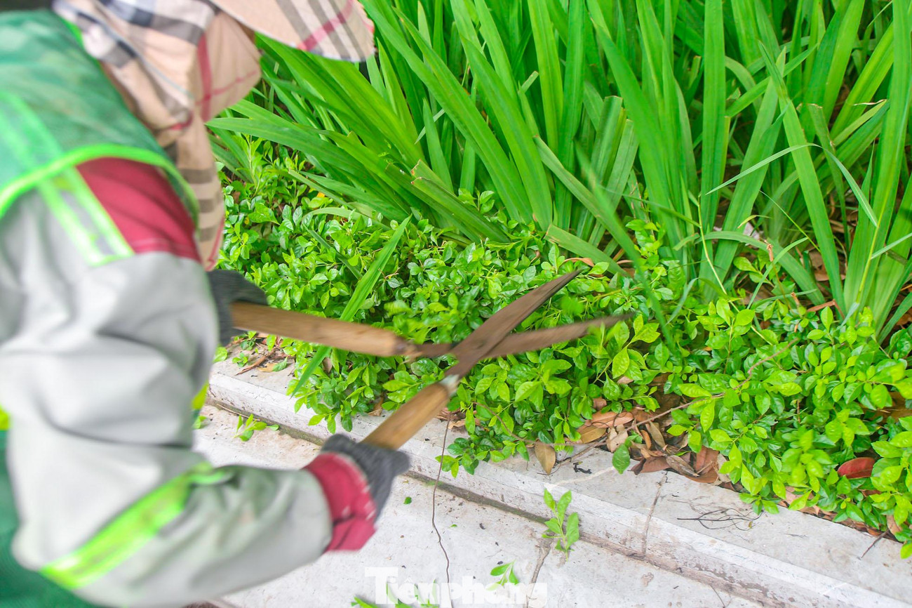 Thảm cỏ ven đường được cắt tỉa tỉ mỉ.