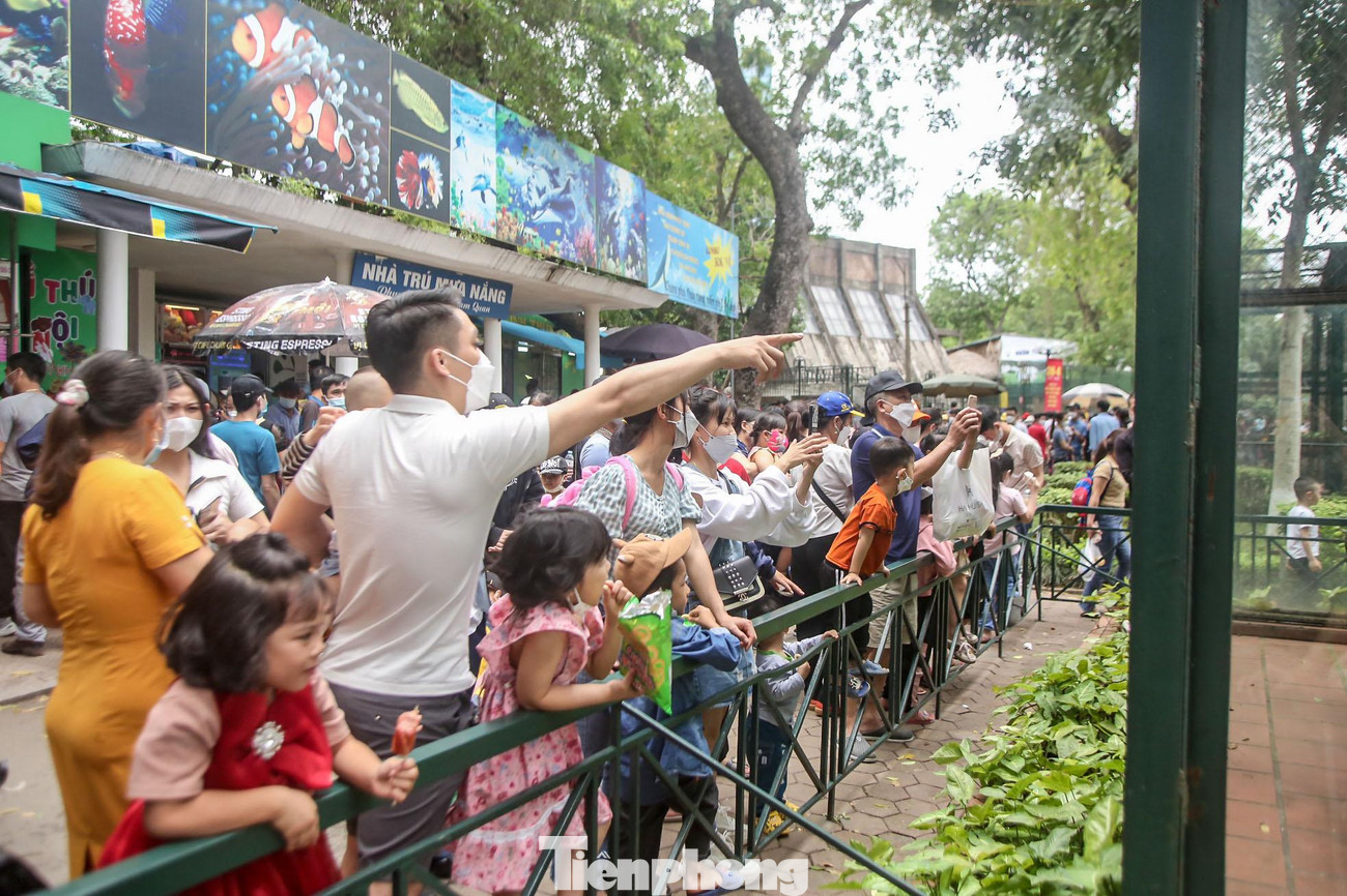 Các khu vực chuồng thú đều hút khách, đặc biệt là trẻ em.