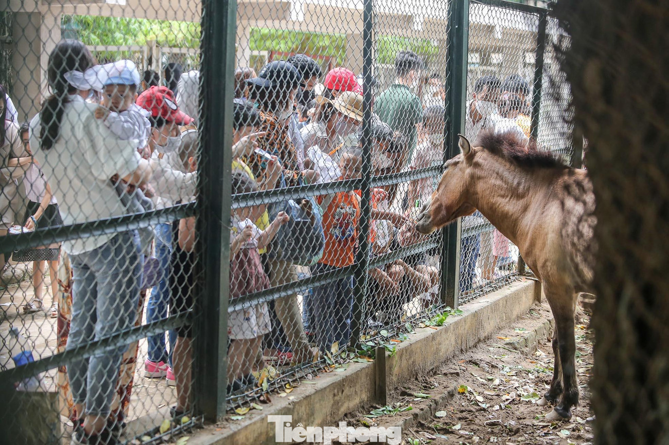 Anh Dũng (Đống Đa, Hà Nội) cho biết các cửa ngõ đều ùn tắc nên quyết định không đi chơi xa, không về quê, chỉ đưa cháu nhỏ đến điểm vui chơi ở Hà Nội. Tuy nhiên lại gặp cảnh người chen chúc khiến anh tỏ ra chán nản, mệt mỏi.
